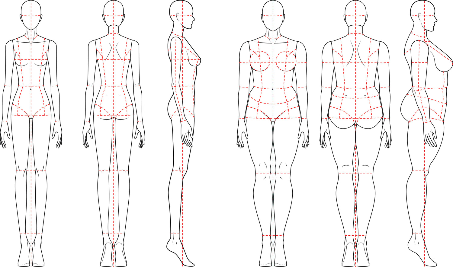 Grafik stilisierter Figuren zweier Frauen mit Hilfslinien, die zeigen wie man Taille, Brust und Länge richtig misst um seine passende Größe zu finden
