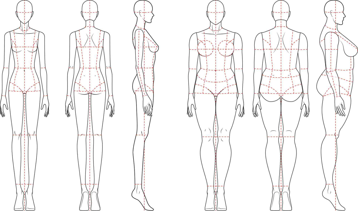 Skizze verschiedener Frauenkörper für Größen und richtiges Messen